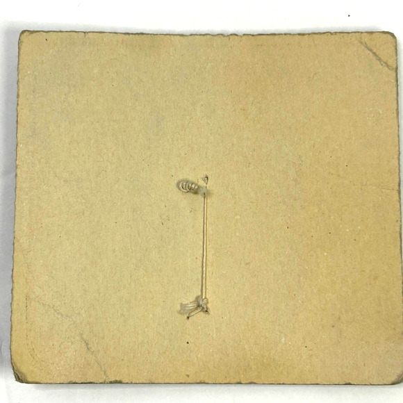 Vintage Celluloid Superior Quality Buckle NOS - Picture 2 of 4